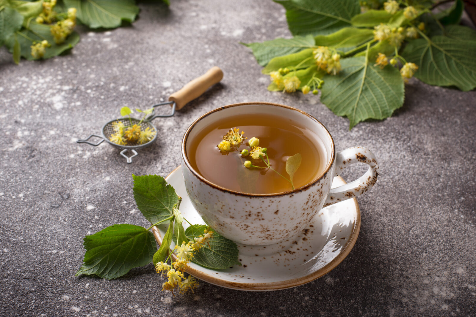 билковият чай подпомага храносмилането